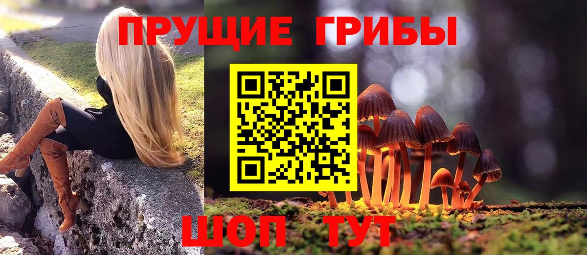 Выкса  Псилоцибиновые грибы Psilocybine cubensis  Галлюциногенные грибы Psilocybe  Вход с VPN 